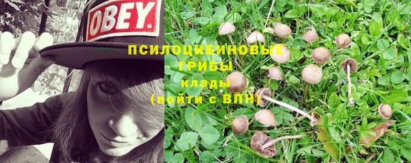 mdpv Арсеньев