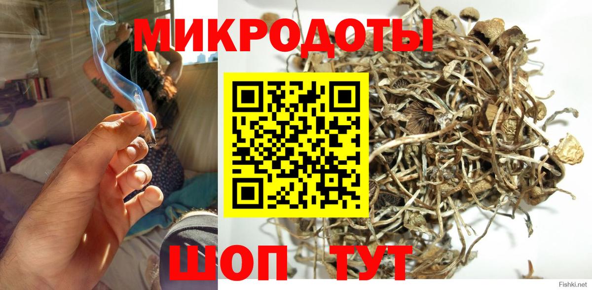 купить  цена  Вход с VPN  Каспийск  Галлюциногенные грибы Psilocybe  Псилоцибиновые грибы Psilocybe 