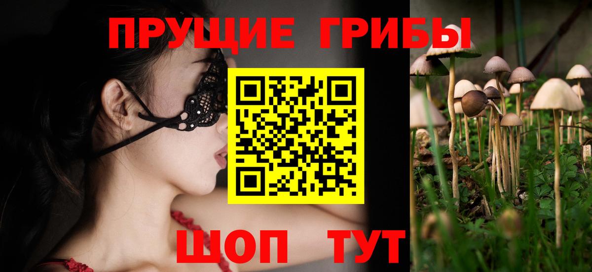 Галлюциногенные грибы прущие грибы Каспийск
